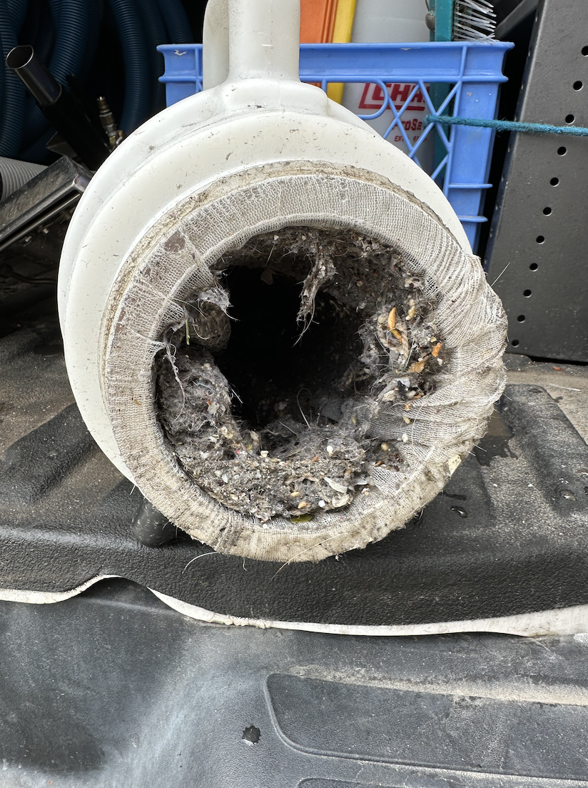 What’s In Your Carpets?